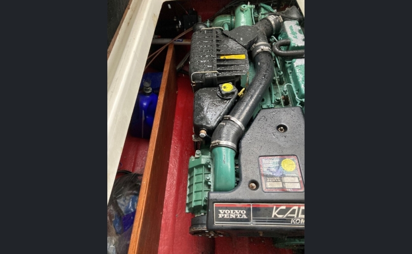 Marino Barracuda Fly-kuva-4